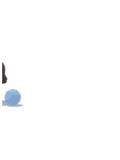 041117_cat.gif